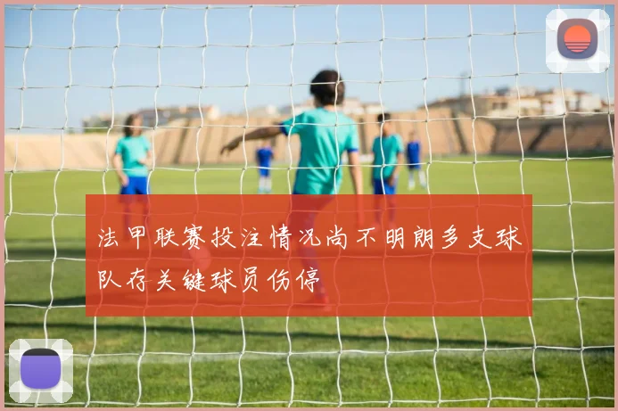 法甲联赛投注情况尚不明朗多支球队存关键球员伤停