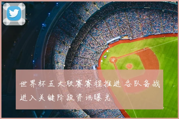 世界杯五大联赛赛程推进 各队备战进入关键阶段资讯曝光