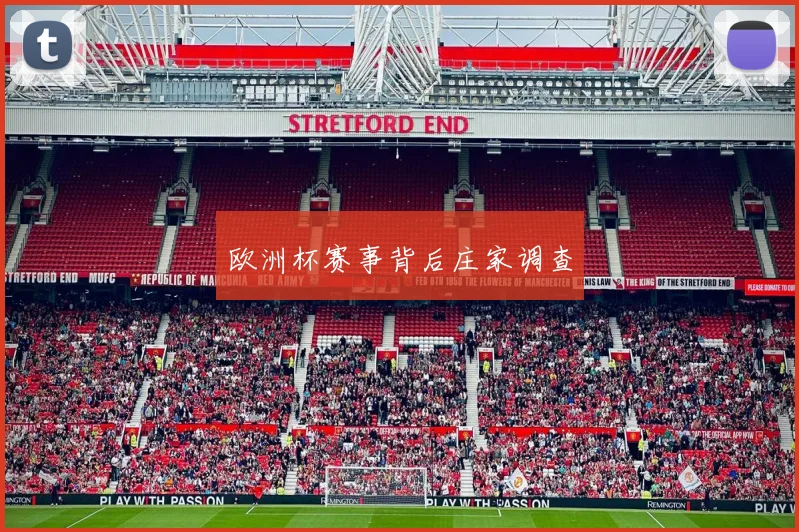 欧洲杯赛事背后庄家调查