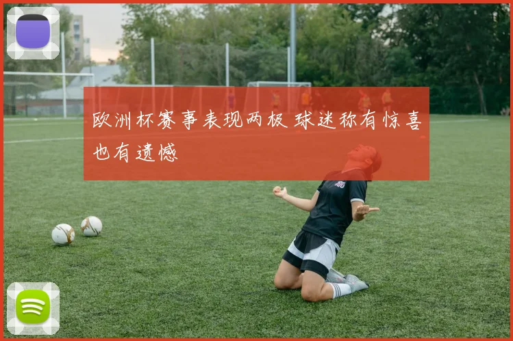欧洲杯赛事表现两极 球迷称有惊喜也有遗憾