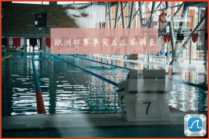 欧洲杯赛事背后庄家调查