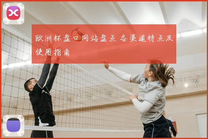 欧洲杯盘口网站盘点 各渠道特点及使用指南