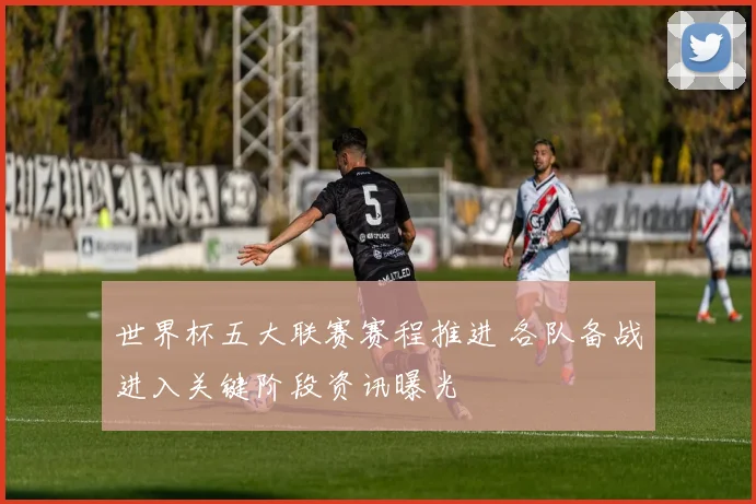 世界杯五大联赛赛程推进 各队备战进入关键阶段资讯曝光