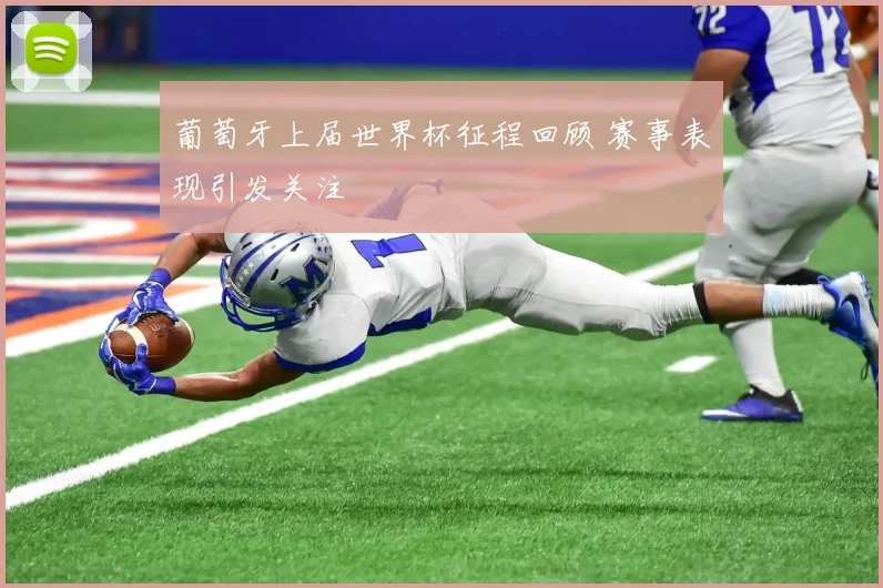 葡萄牙上届世界杯征程回顾 赛事表现引发关注
