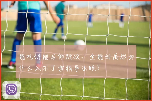 能吃饼能后仰跳投,全能刘禹彤为什么入不了宫指导法眼?